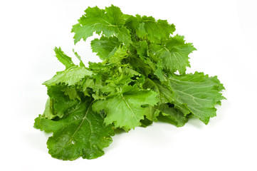 Cime di rapa intero