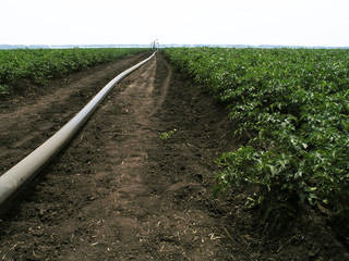 Irrigation installation (watering machine) in the field