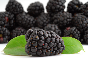 Blackberry
