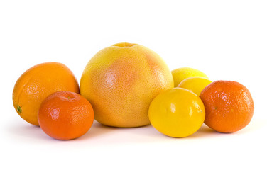 Group of citrus