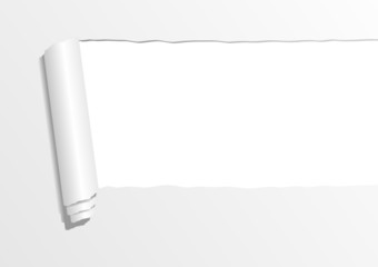 Ripped paper sheet with negative space to insert text
