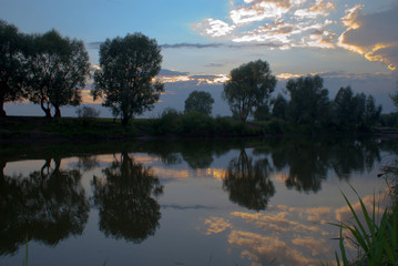willows above evening river
