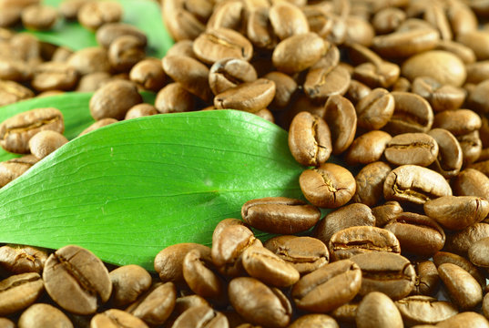 Coffee grains and coffe leaf