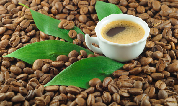 Coffe
