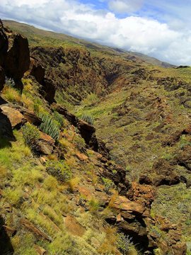 Cran Canaria