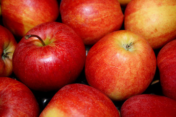 Fototapeta na wymiar Rote Äpfel
