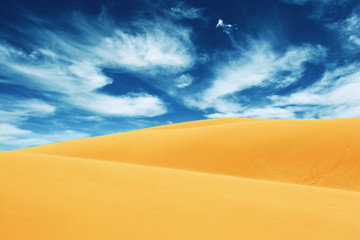 Desert landscape
