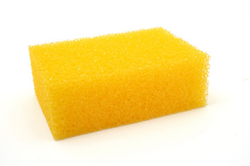 sponge