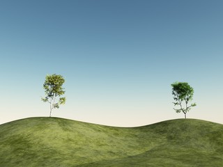 Fototapeta na wymiar Zwei Bäumen auf einem Hügel