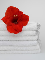 White towels with a flower on a white background