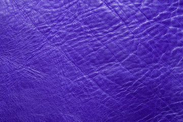 Blue leather
