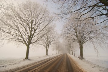 chemin enneigé