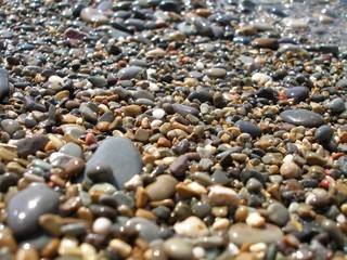 moist shingle