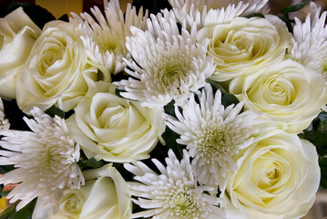 White rose and chrysanthemums