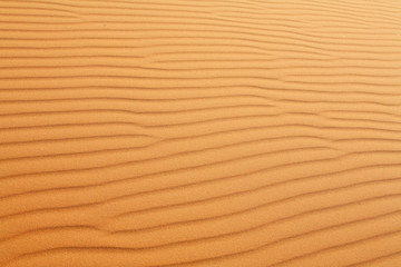 Sahara desert background