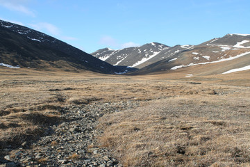 Landscape of tundra