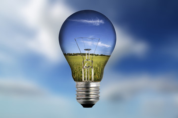 light bulb with landscape inside - environmental concept