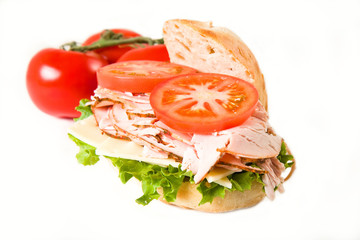 Isolated Turkey Sandwich