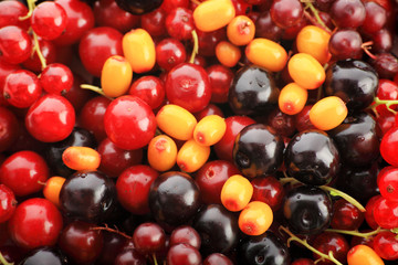 berryes