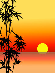 Bamboo silhouette with setting sun