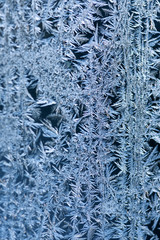 Frost patterns on glass