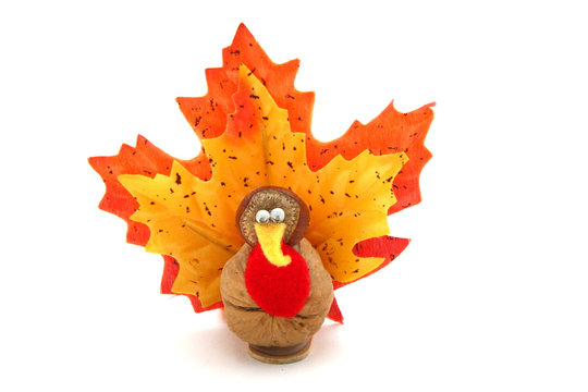 Thanksgiving Turkey Decoration