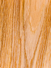 Tree an oak internal a structure