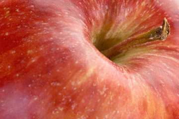 Red delicious apple