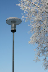 park lamp