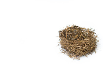 Empty Bird's Nest Isolated On White Background