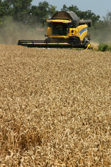 Obraz premium harvester