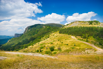 Naklejka premium Meadow