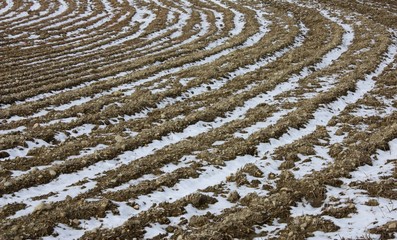 Campagne en hiver