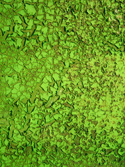 Green texture
