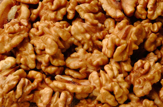 NUECES