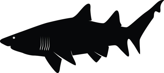Requin