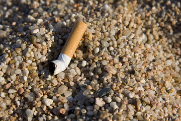 cigarette butt found on rocky beach