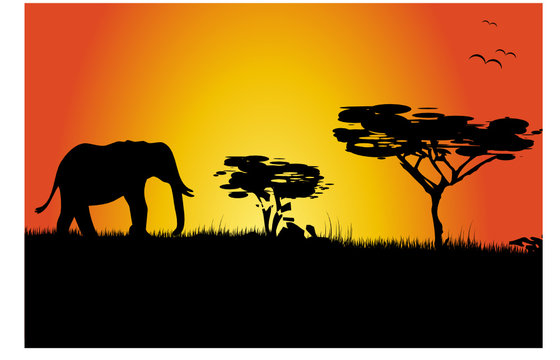 Silhouette of elephant and tress - sunset in Africa