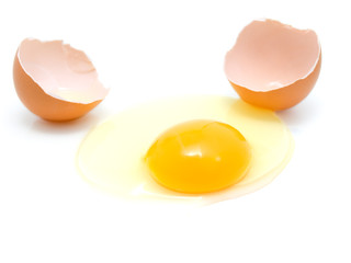egg
