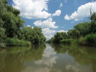 Fototapeta premium Small chanel in Danube Delta