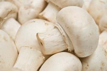 Fresh mushrooms