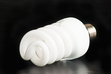 bulb