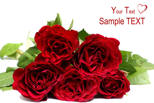 Bunch of beautiful red roses isolated over white