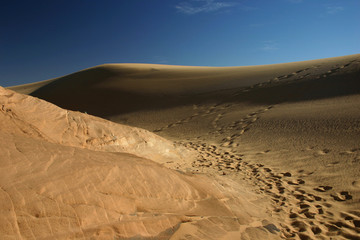 Fototapeta na wymiar Wydmy na Saharze