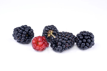 Blackberries on white surface