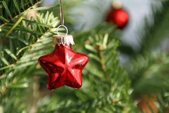 Weihnachtsstern