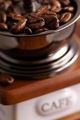 Coffee grinder with coffee beans