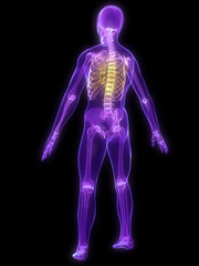 menschliches skelett mit rückenschmerzen