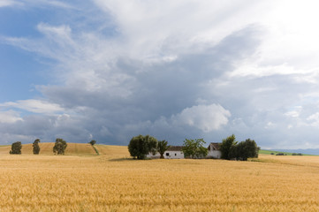 Fototapeta premium ciel après l'orage