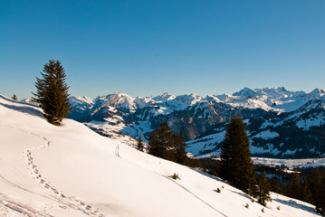 Fototapeta na wymiar winter scene in swiss alps